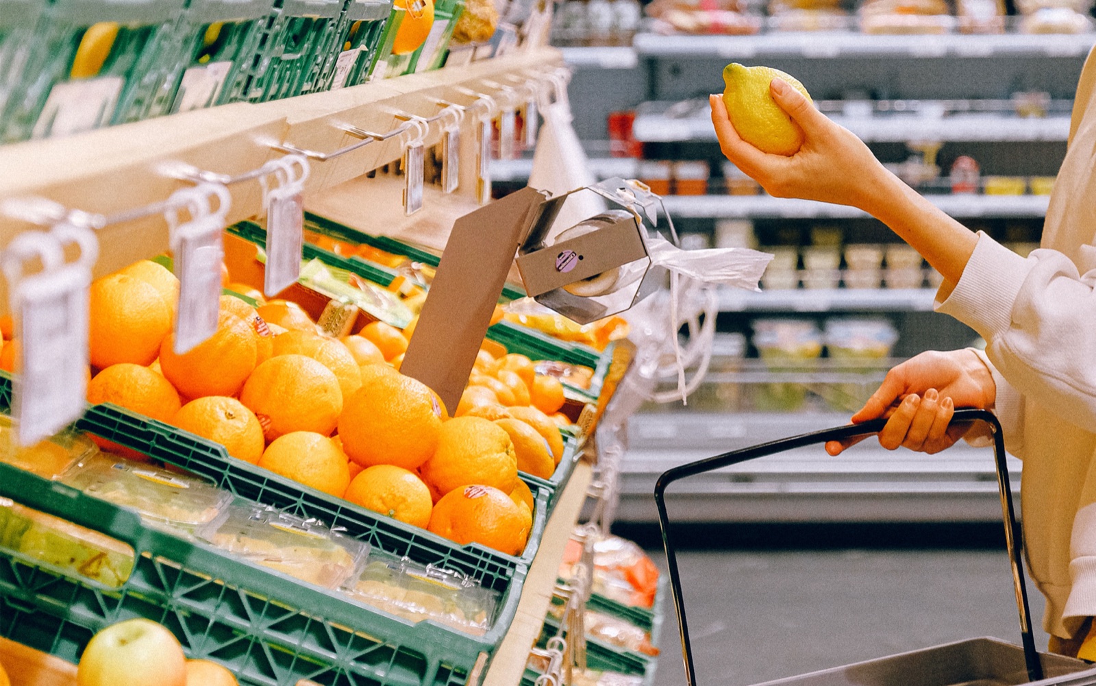 Grocery Store — floor / counter